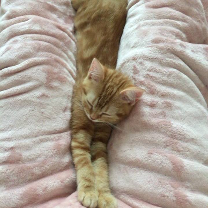 367e953f b170 46d6 9330 f0ee1e131fde