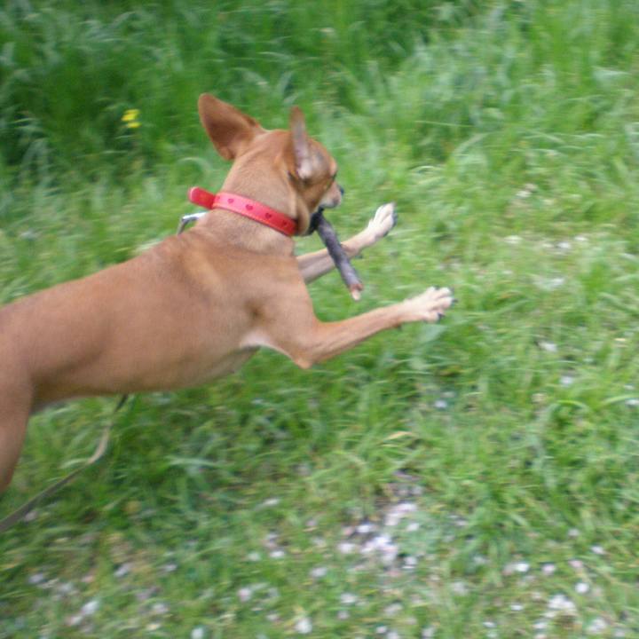 367f08a5 e3a3 4a4b 9673 dbc042a06385