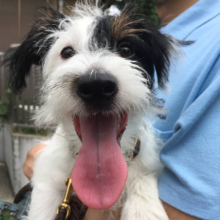 367f44ef 139a 4fbf bd99 f1f266d39e72