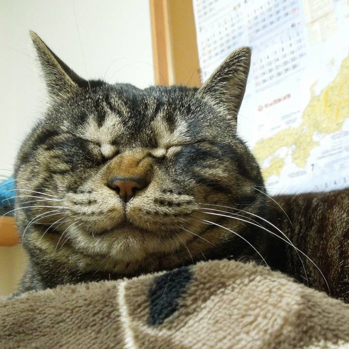 367f7106 d811 482c b901 4f50245dcb71