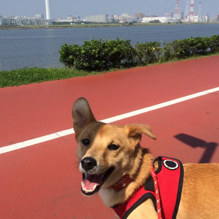 367f7a7c 5828 457f 8c3b d81772ae8346