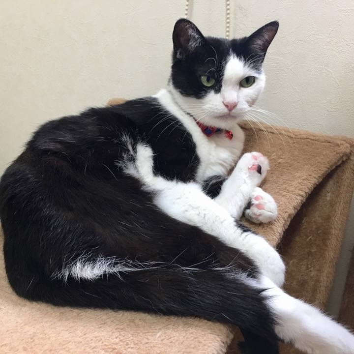 367fa17b f1d6 4efd 9f31 8e1b3b077711