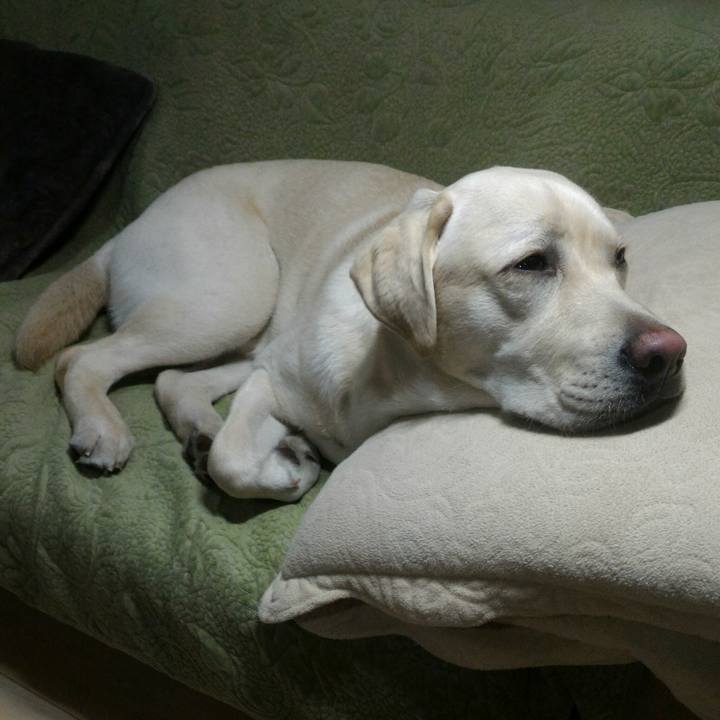 3680e9e4 686b 47fa 8ea7 8196c24da26e