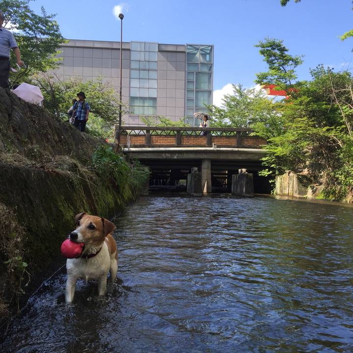 3680ee5d c29c 48f7 9bd6 ea90d5e9e134