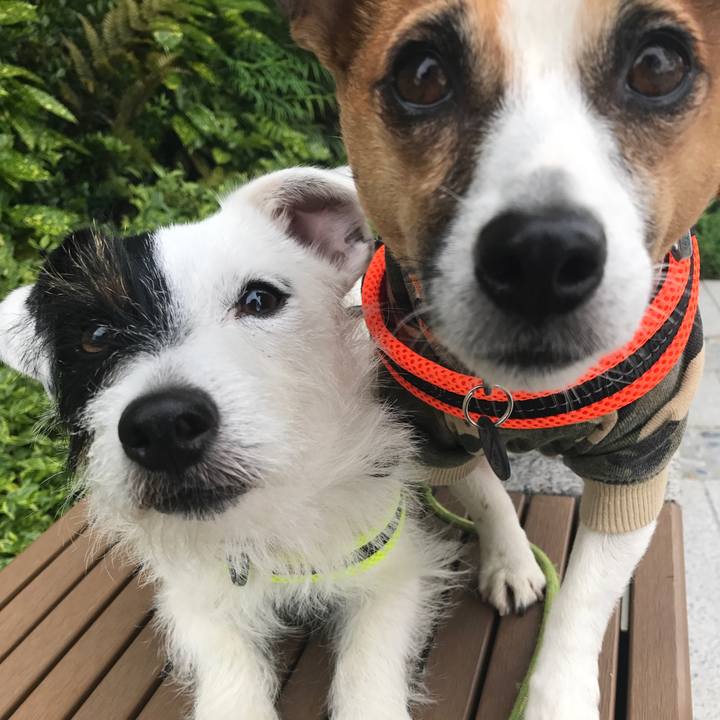 36811fba f025 49da b99f 589e40f6bc67