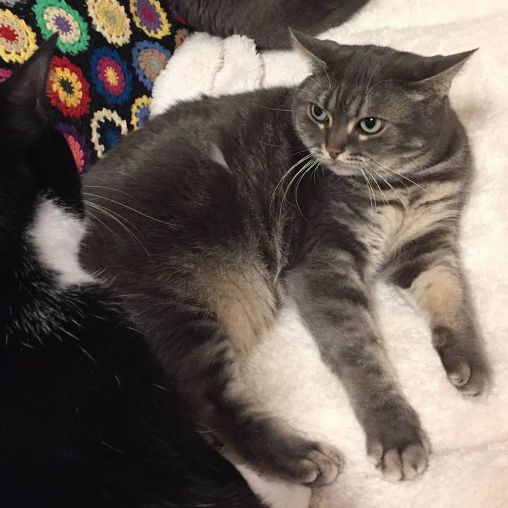 36814b76 16e2 4040 82d2 e5d8e5d1eccb