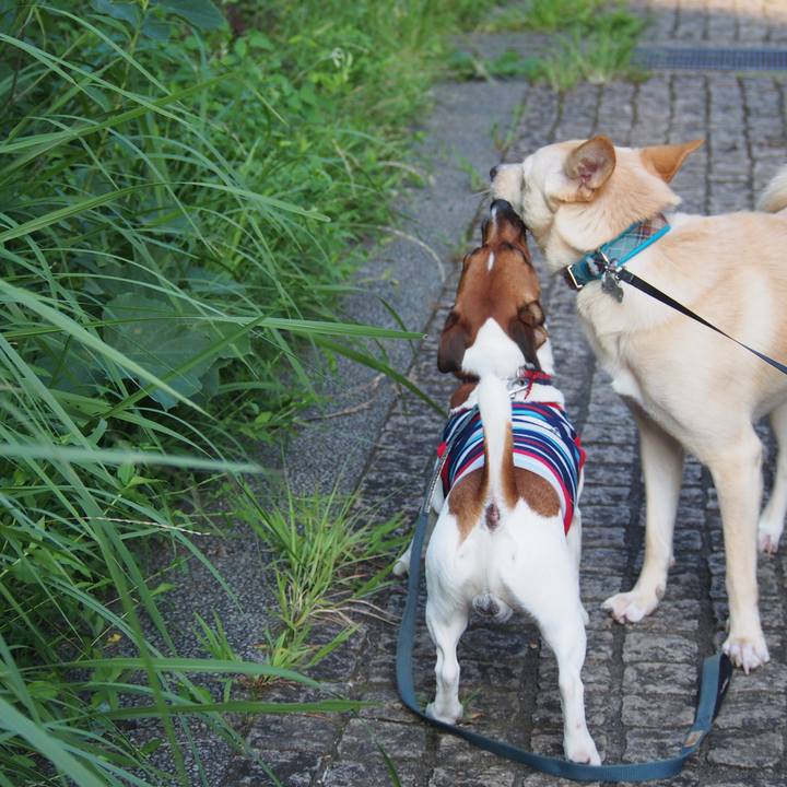 368186f5 0614 4339 8126 0f9756cc5c66