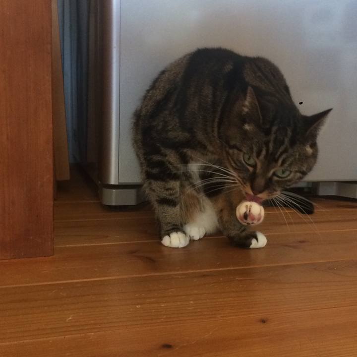 36823fc3 100f 4698 829f 5dcfc5cfcd7b