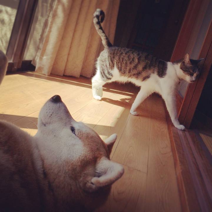 36825b74 6837 4ce6 81d8 716d963c96e4