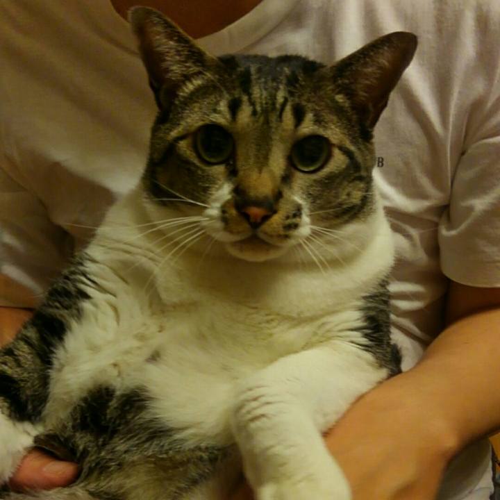 36827d38 9f19 42a8 97bd a7eb09582347