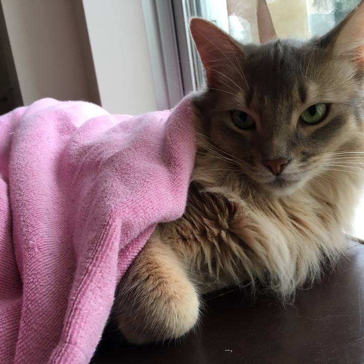 36828313 79b3 41b1 9dba 663aace1d0b4