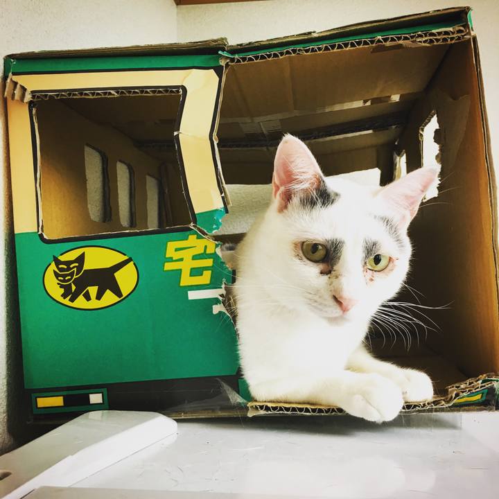 36829f49 0293 4ce7 8644 25568c8cbfd8