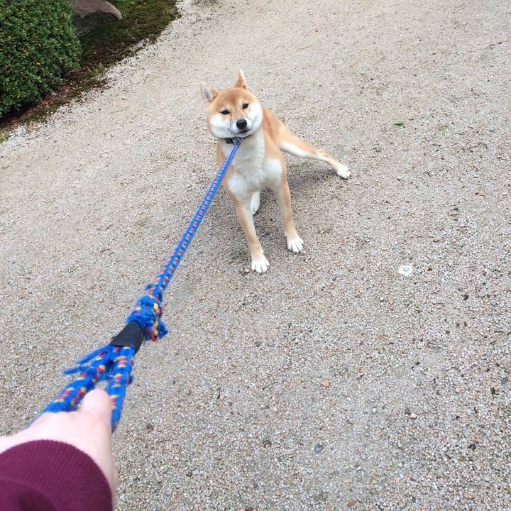 36835a8a cc11 4438 b2be 178404a9295a