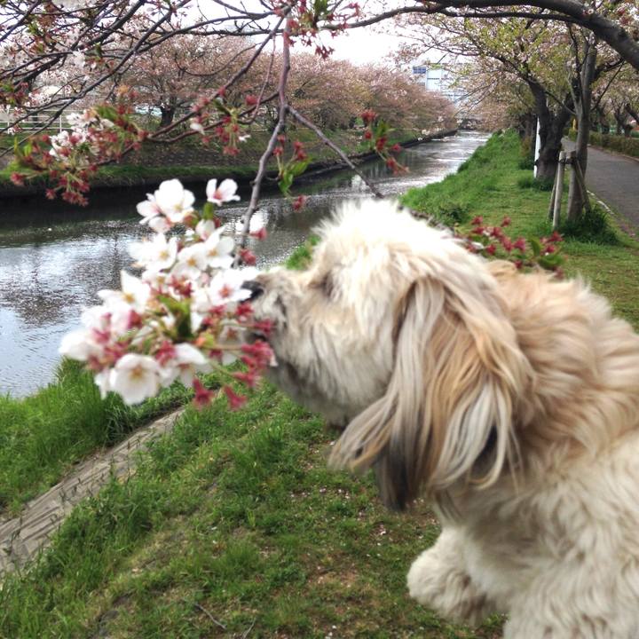 368453d3 9742 45b3 b87c 3ac3d7abc437