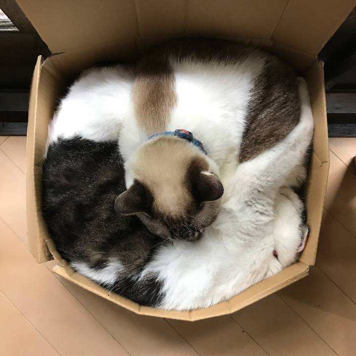 3684542c ea6c 49cb a4b1 3cb390b019fa