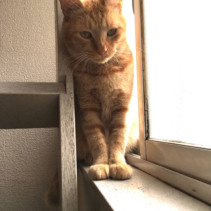 36848abf 5995 4b99 ae16 e976a01e8116