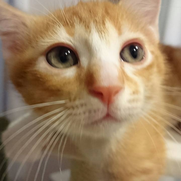 3685614c dd35 42f5 a7e4 d357d29b46b4