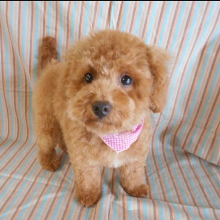 3685823a 0e82 482f 8f8b 3ff238cab630