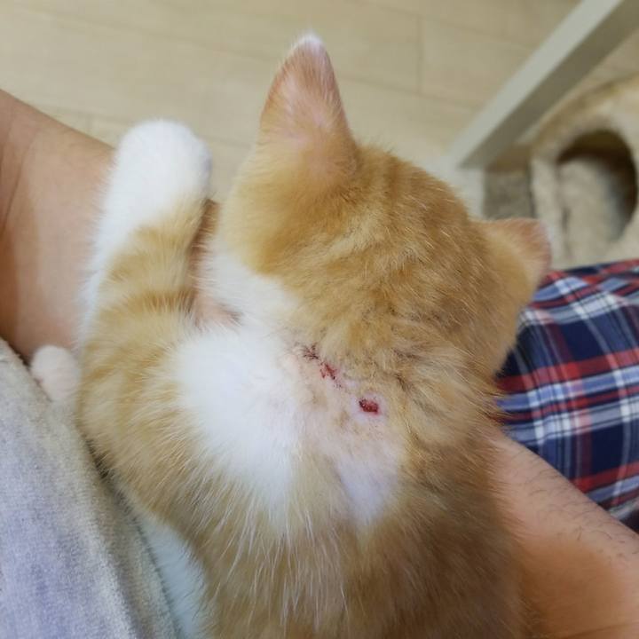 3686c68f 1515 4703 ba65 e0a4e5403eab