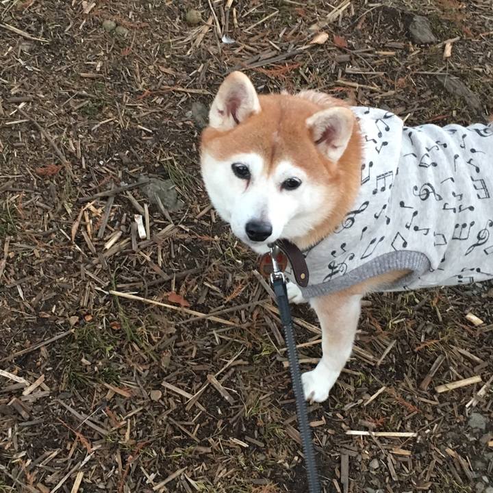 3686f6f1 f9f6 4723 a3a9 fe440bc1e78e