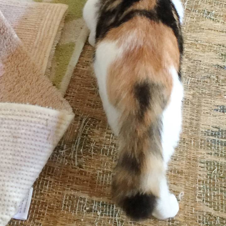 36875611 befe 410d 8d8c 7407a080ed97