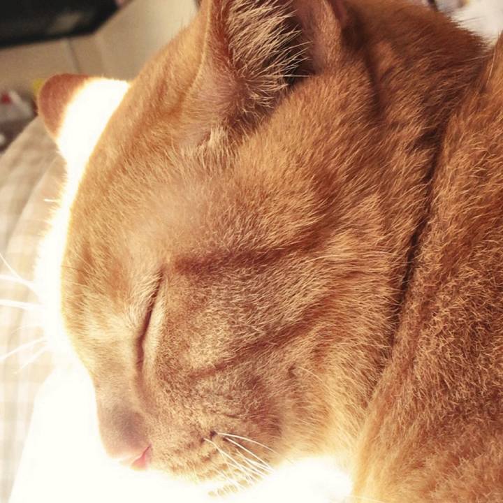 368768d1 521b 44cc b61f c0d2bf199a04