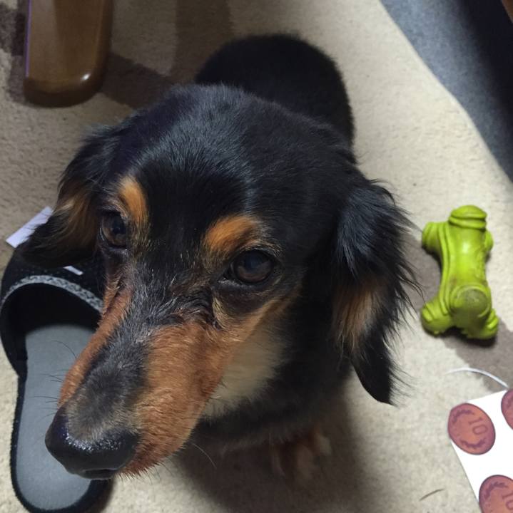 36878fab 8d9c 419e bc55 41baf02c9364