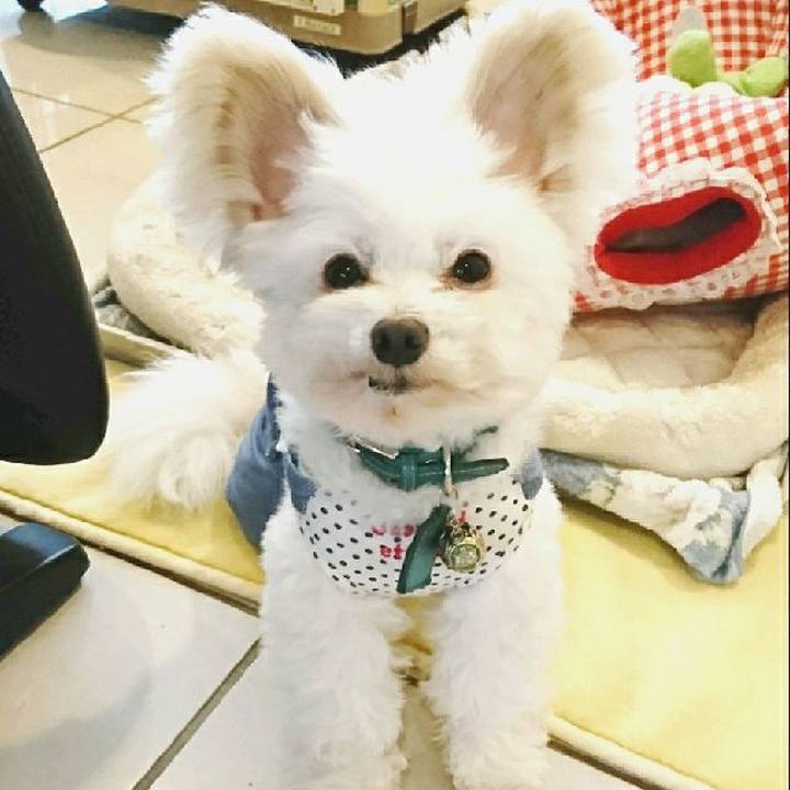 368855ae 2c7d 4d58 93d4 c423edb8c008