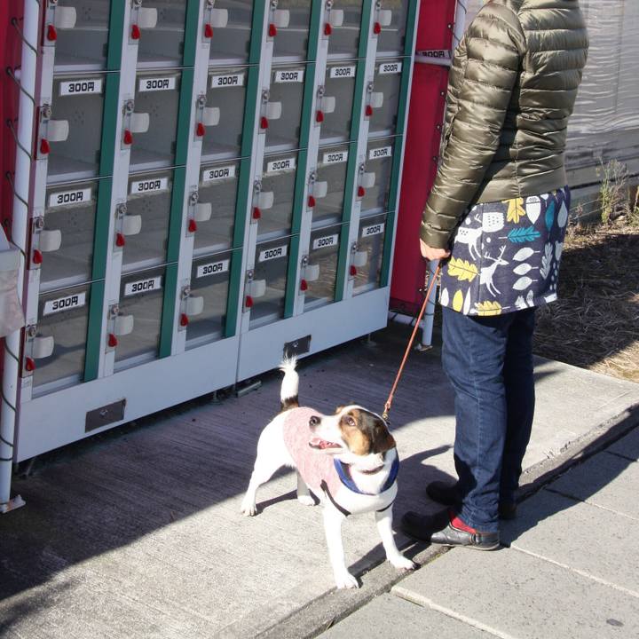 368864b1 05f6 4efa b77f 0eea42339016