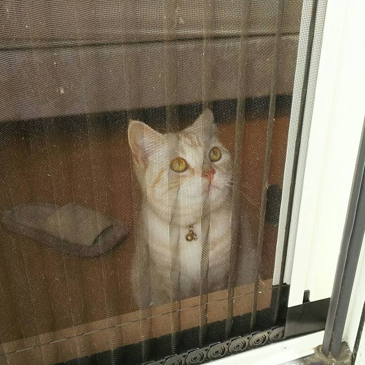 36888d24 c039 4c14 ab09 c2d8e384aeac