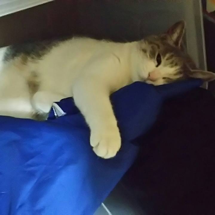 36889c90 bbb1 41d4 8945 578207890cd1