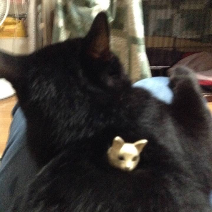 3689300a 527b 4f4c b67d e349aa20c3a0