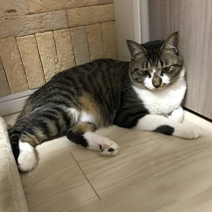 368b06bb 559a 4908 a450 026a1e04d74d