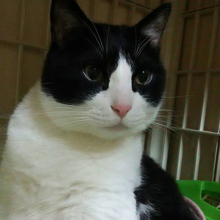 368c1d12 9efb 462d ac53 58c253179c57