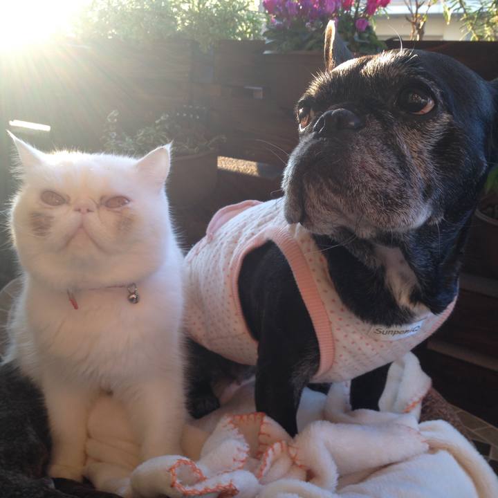 368cd1fe abdc 4b3b 80ab d18c6f649eab