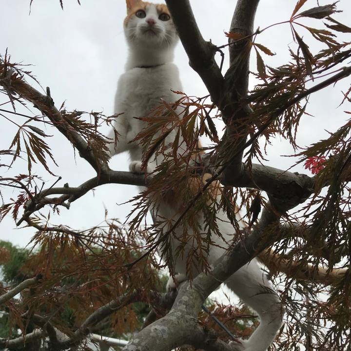 368cf093 7983 4bb7 94a7 cccc75dfebdf