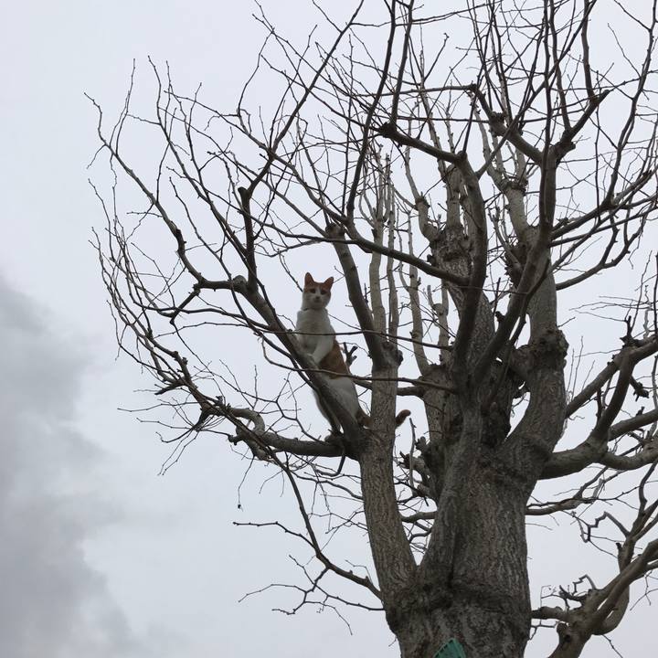 368d1111 7ad1 4857 a3a2 75e8a90803ff