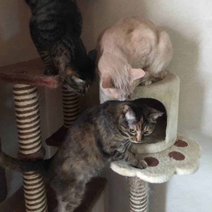 368d960f ea2b 49ff 91d9 59df7ff44b22