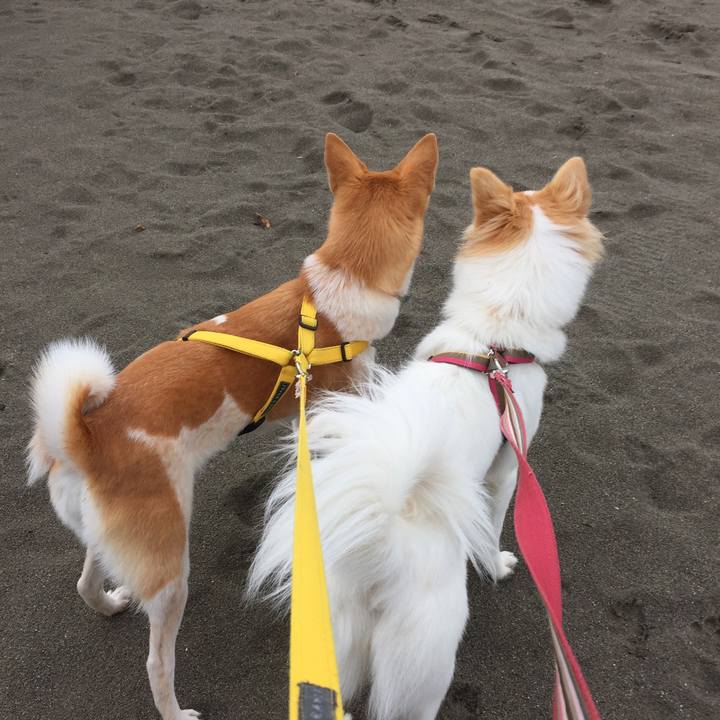 368da815 c799 4d1a b3b8 178343392960