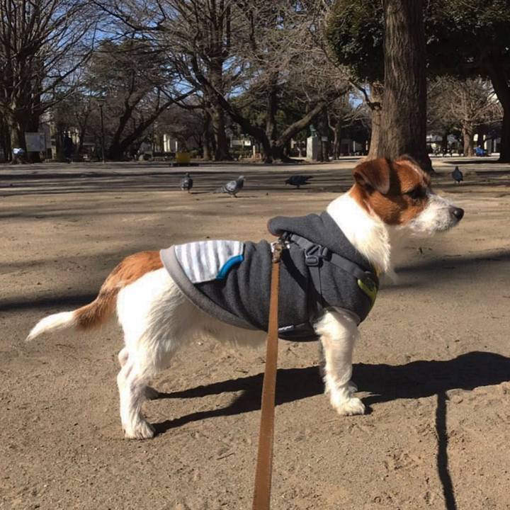 368e012d 38a8 41d4 b269 08ee32678392