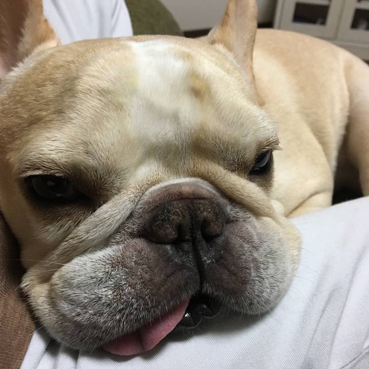 368ed575 0190 44d5 b8ce 078dddb187f1