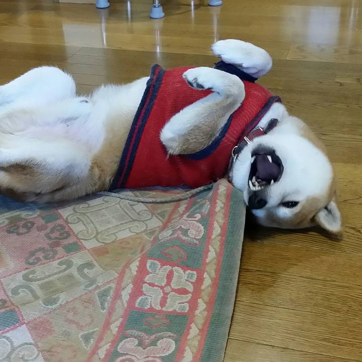 368f3b0d 4ee2 40c1 aabd 5f44e720d2b6