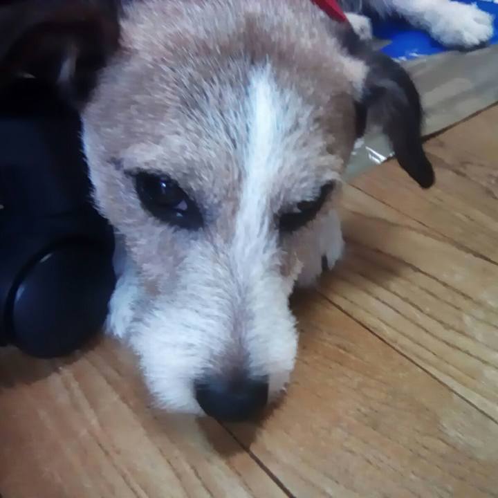 368f531c 4ad4 4f4c 8300 92754bfb0d6b