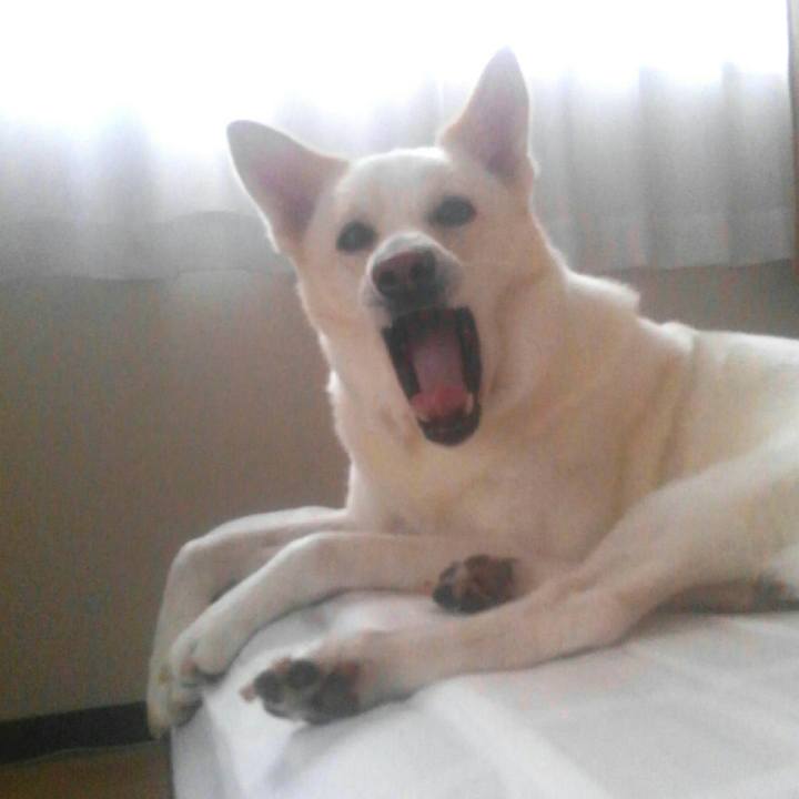 368fbe8e 0bbf 41ef b049 8eb0969c0060