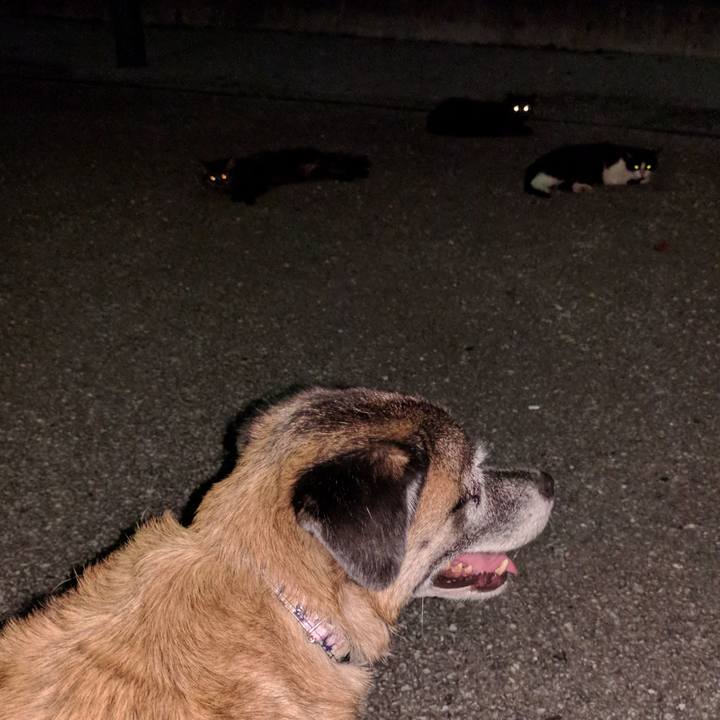 3690400a 30e4 41d4 932e 051010a1122a