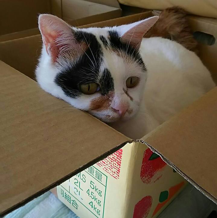 36904716 d16b 4b0e a701 0773e1960b9f