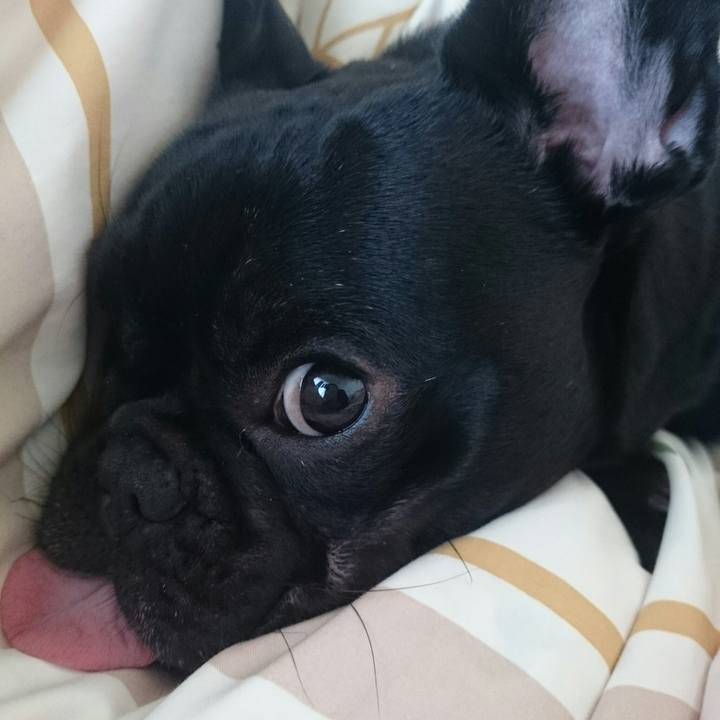 3690a81d cb75 4fb3 af46 02d980dea35d