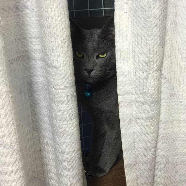 3690d372 6a8e 4c45 b075 9c3024c3e2d0