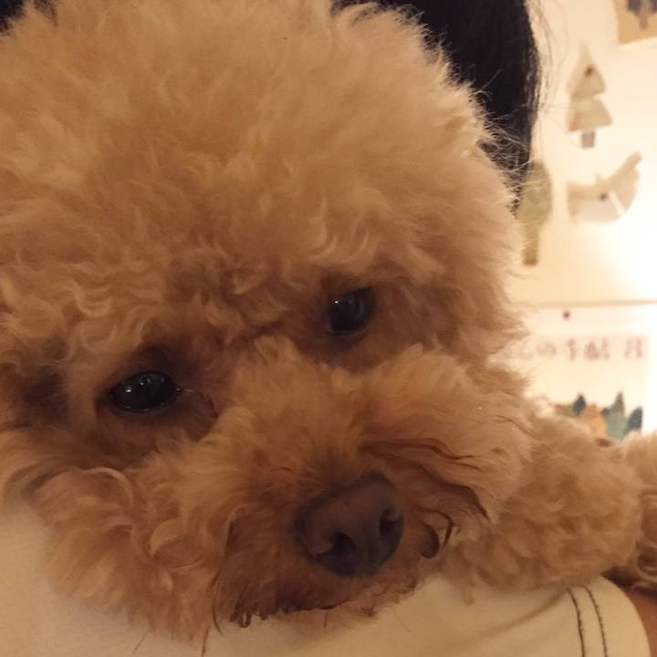 3691506e 3dbd 4d7c a814 15a37029a678