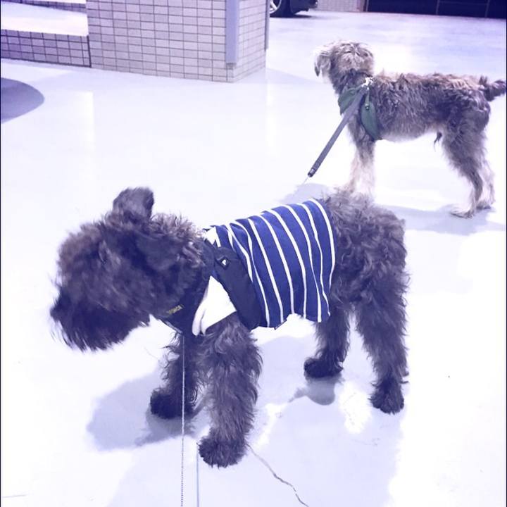 36915bd0 6ffb 4409 a04f 63ce8857d888